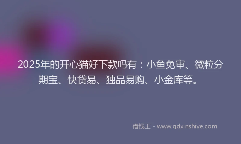2025年的开心猫好下款吗有：小鱼免审、微粒分期宝、快贷易、独品易购、小金库等。