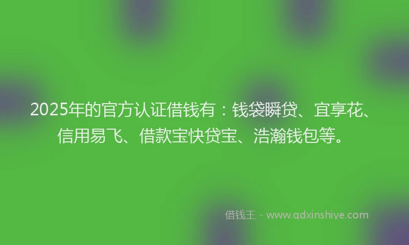2025年的官方认证借钱有：钱袋瞬贷、宜享花、信用易飞、借款宝快贷宝、浩瀚钱包等。