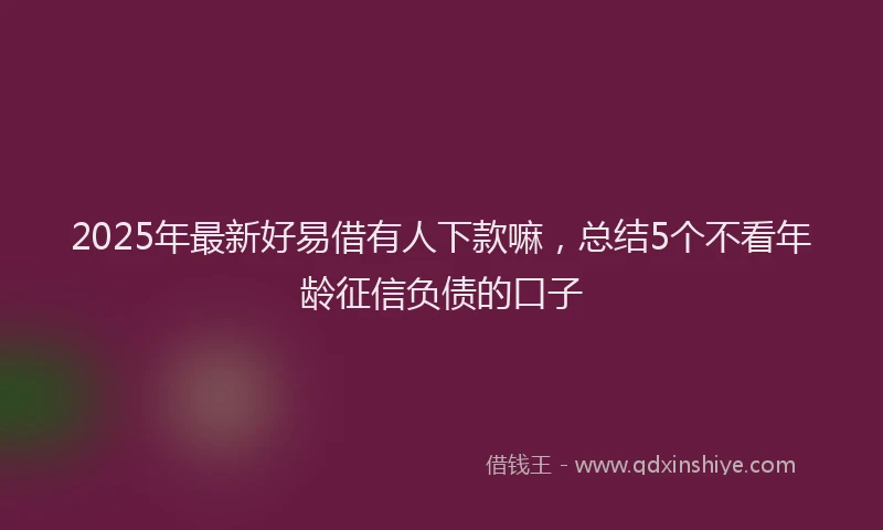 2025年最新好易借有人下款嘛，总结5个不看年龄征信负债的口子