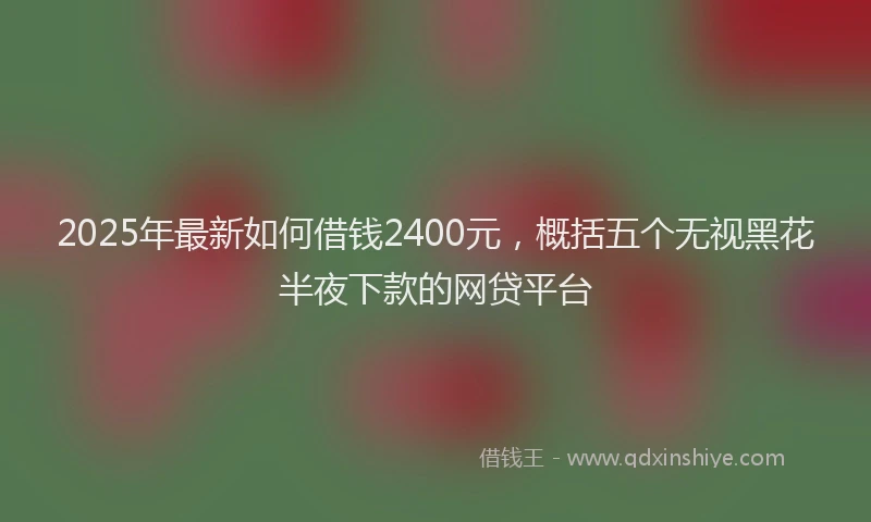 2025年最新如何借钱2400元，概括五个无视黑花半夜下款的网贷平台