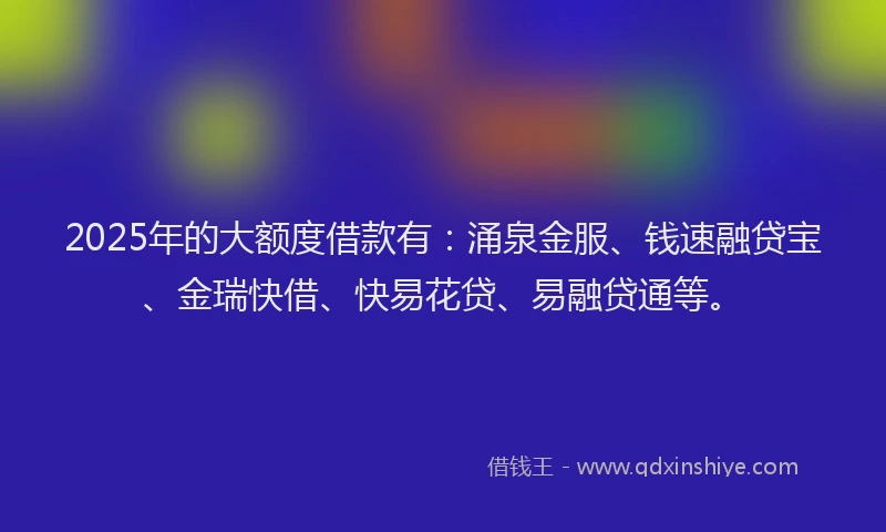 2025年的大额度借款有：涌泉金服、钱速融贷宝、金瑞快借、快易花贷、易融贷通等。