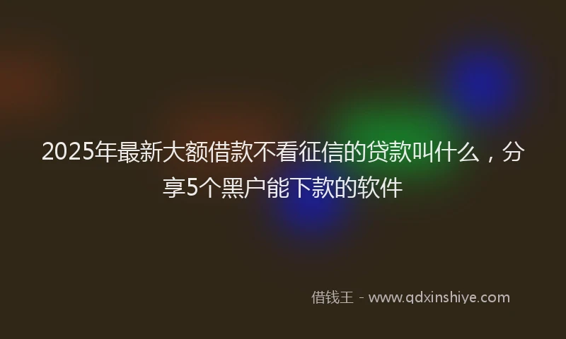 2025年最新大额借款不看征信的贷款叫什么，分享5个黑户能下款的软件