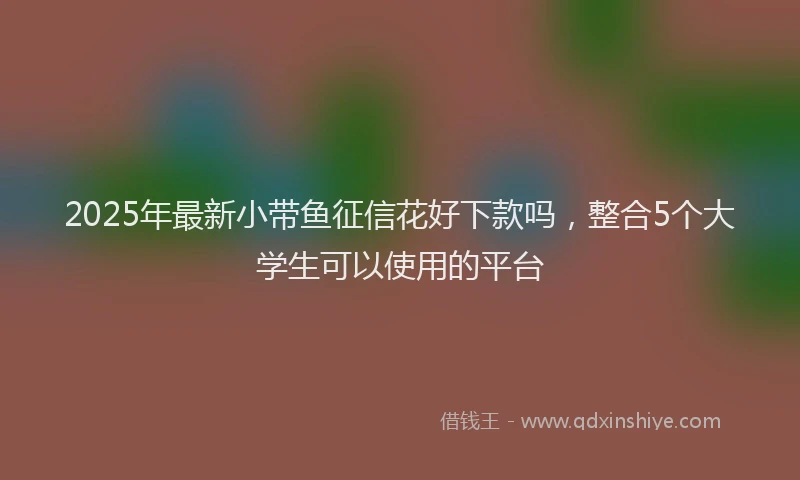 2025年最新小带鱼征信花好下款吗，整合5个大学生可以使用的平台