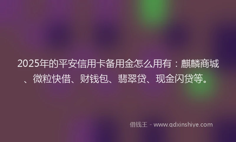 2025年的平安信用卡备用金怎么用有：麒麟商城、微粒快借、财钱包、翡翠贷、现金闪贷等。