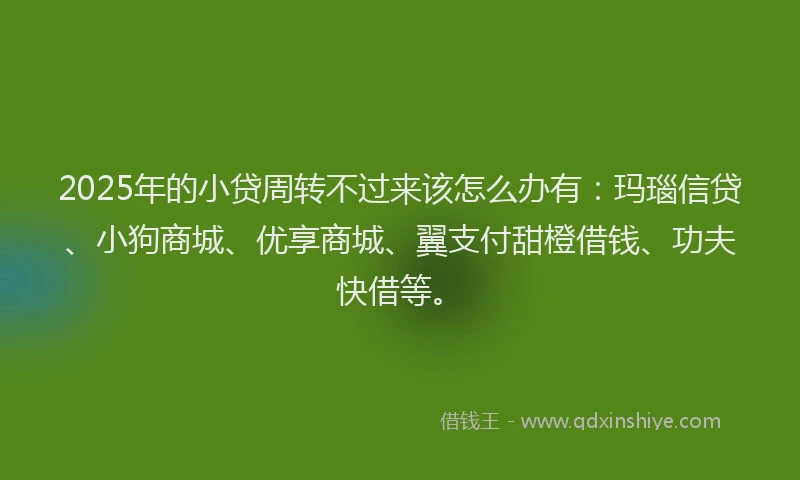 2025年的小贷周转不过来该怎么办有：玛瑙信贷、小狗商城、优享商城、翼支付甜橙借钱、功夫快借等。