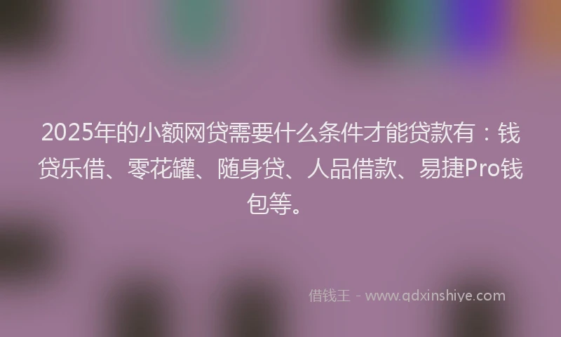 2025年的小额网贷需要什么条件才能贷款有：钱贷乐借、零花罐、随身贷、人品借款、易捷Pro钱包等。