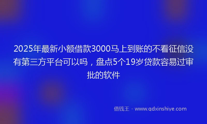 2025年最新小额借款3000马上到账的不看征信没有第三方平台可以吗，盘点5个19岁贷款容易过审批的软件