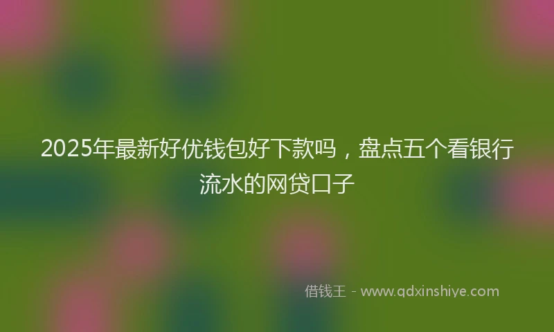 2025年最新好优钱包好下款吗，盘点五个看银行流水的网贷口子