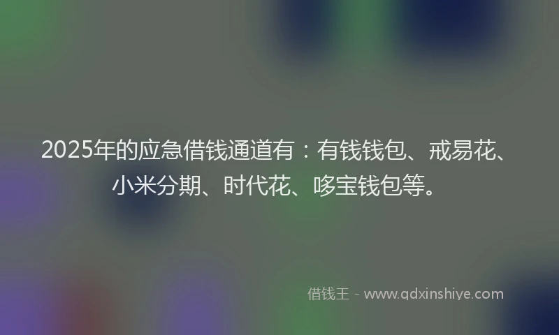 2025年的应急借钱通道有：有钱钱包、戒易花、小米分期、时代花、哆宝钱包等。