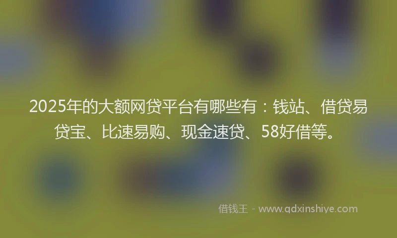 2025年的大额网贷平台有哪些有：钱站、借贷易贷宝、比速易购、现金速贷、58好借等。
