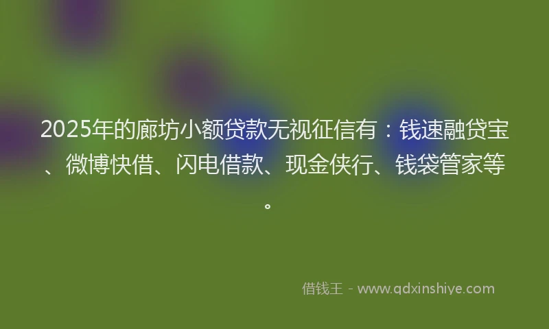 2025年的廊坊小额贷款无视征信有：钱速融贷宝、微博快借、闪电借款、现金侠行、钱袋管家等。
