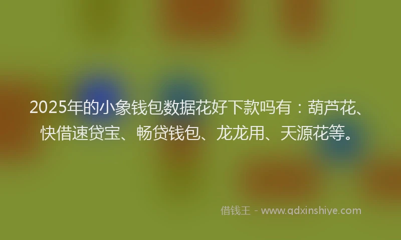 2025年的小象钱包数据花好下款吗有：葫芦花、快借速贷宝、畅贷钱包、龙龙用、天源花等。