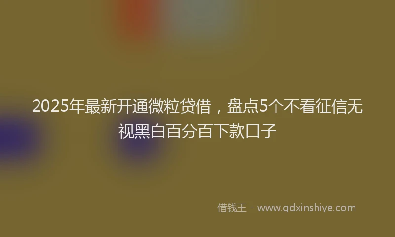 2025年最新开通微粒贷借，盘点5个不看征信无视黑白百分百下款口子