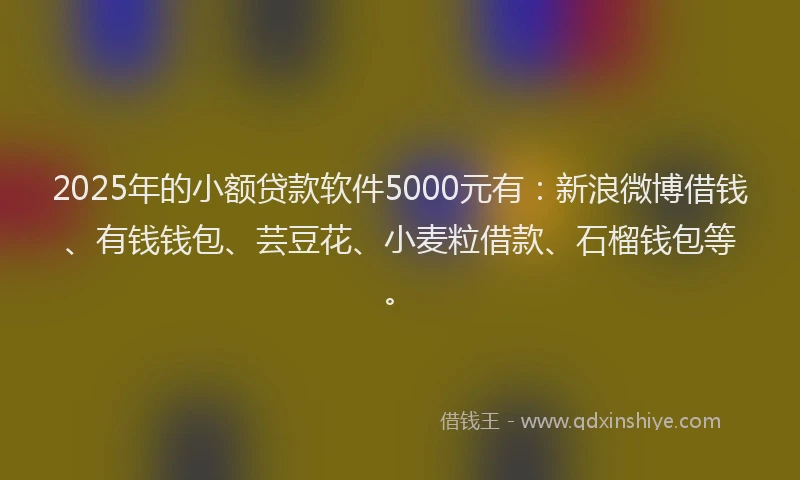 2025年的小额贷款软件5000元有：新浪微博借钱、有钱钱包、芸豆花、小麦粒借款、石榴钱包等。