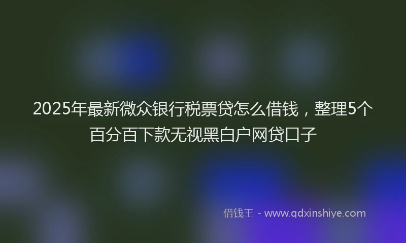 2025年最新微众银行税票贷怎么借钱，整理5个百分百下款无视黑白户网贷口子