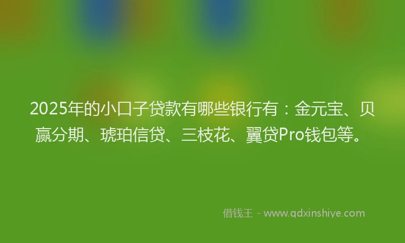 2025年的小口子贷款有哪些银行有：金元宝、贝赢分期、琥珀信贷、三枝花、翼贷Pro钱包等。