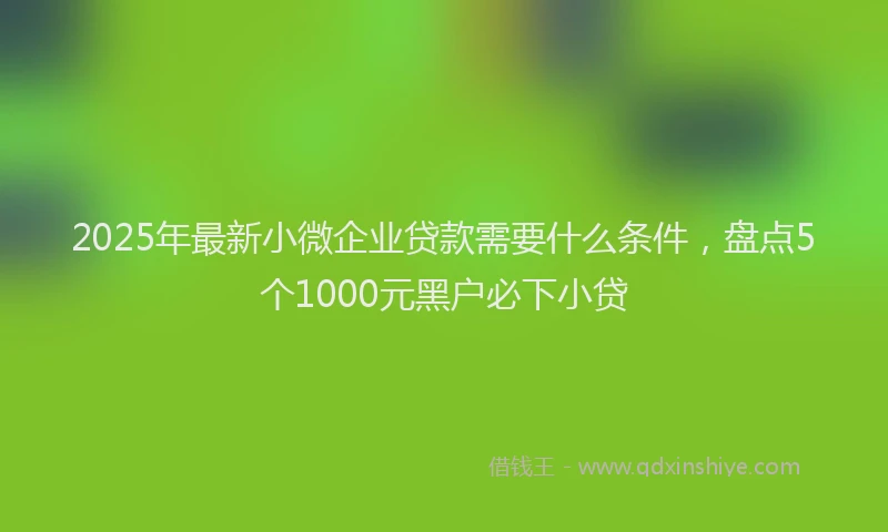 2025年最新小微企业贷款需要什么条件，盘点5个1000元黑户必下小贷