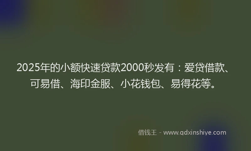 2025年的小额快速贷款2000秒发有：爱贷借款、可易借、海印金服、小花钱包、易得花等。