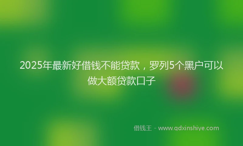 2025年最新好借钱不能贷款，罗列5个黑户可以做大额贷款口子