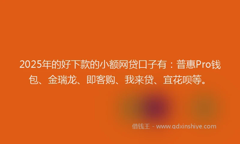 2025年的好下款的小额网贷口子有：普惠Pro钱包、金瑞龙、即客购、我来贷、宜花呗等。