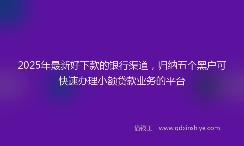 2025年最新好下款的银行渠道，归纳五个黑户可快速办理小额贷款业务的平台