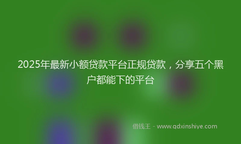 2025年最新小额贷款平台正规贷款，分享五个黑户都能下的平台