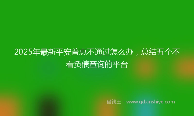 2025年最新平安普惠不通过怎么办，总结五个不看负债查询的平台