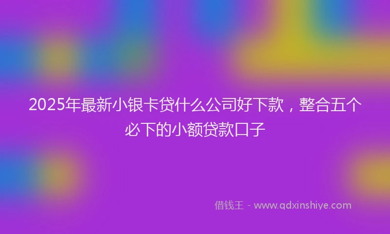 2025年最新小银卡贷什么公司好下款，整合五个必下的小额贷款口子