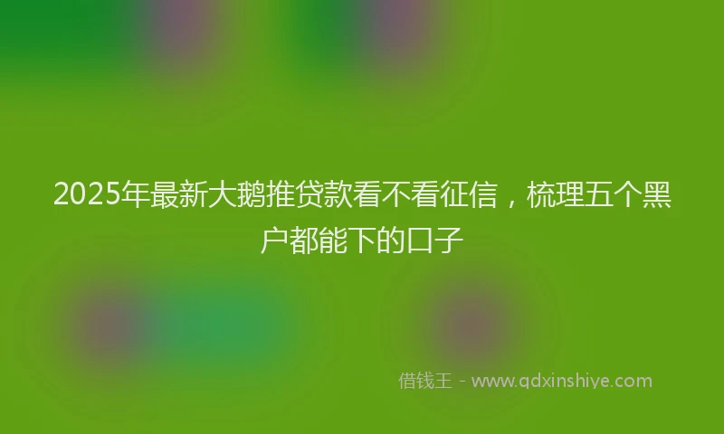2025年最新大鹅推贷款看不看征信，梳理五个黑户都能下的口子