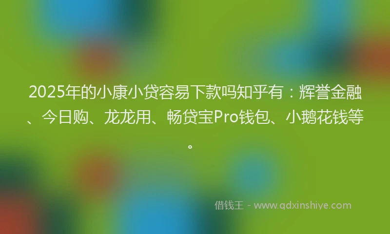 2025年的小康小贷容易下款吗知乎有：辉誉金融、今日购、龙龙用、畅贷宝Pro钱包、小鹅花钱等。