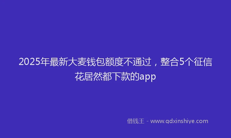 2025年最新大麦钱包额度不通过，整合5个征信花居然都下款的app