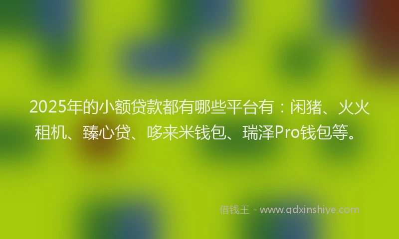 2025年的小额贷款都有哪些平台有：闲猪、火火租机、臻心贷、哆来米钱包、瑞泽Pro钱包等。