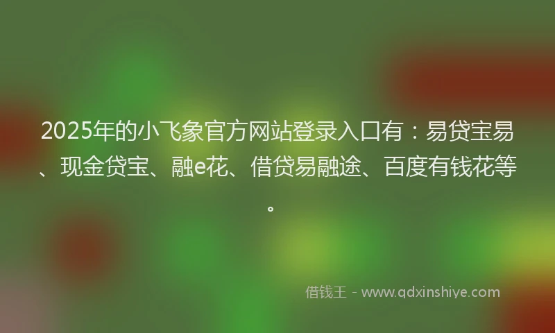 2025年的小飞象官方网站登录入口有：易贷宝易、现金贷宝、融e花、借贷易融途、百度有钱花等。