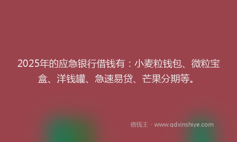 2025年的应急银行借钱有：小麦粒钱包、微粒宝盒、洋钱罐、急速易贷、芒果分期等。