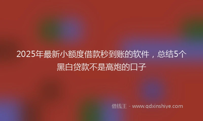 2025年最新小额度借款秒到账的软件，总结5个黑白贷款不是高炮的口子