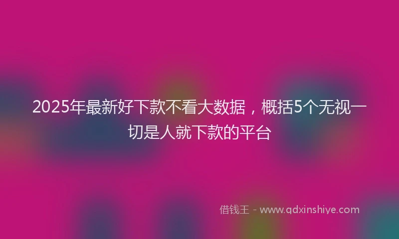 2025年最新好下款不看大数据，概括5个无视一切是人就下款的平台