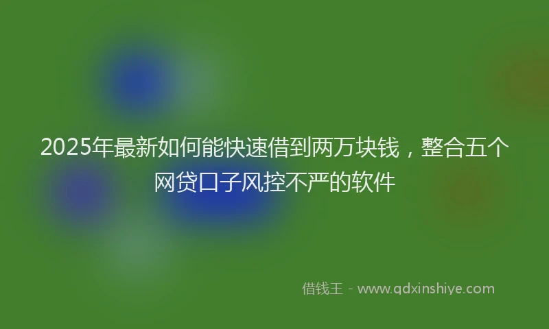 2025年最新如何能快速借到两万块钱，整合五个网贷口子风控不严的软件