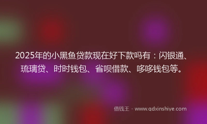 2025年的小黑鱼贷款现在好下款吗有：闪银通、琉璃贷、时时钱包、省呗借款、哆哆钱包等。