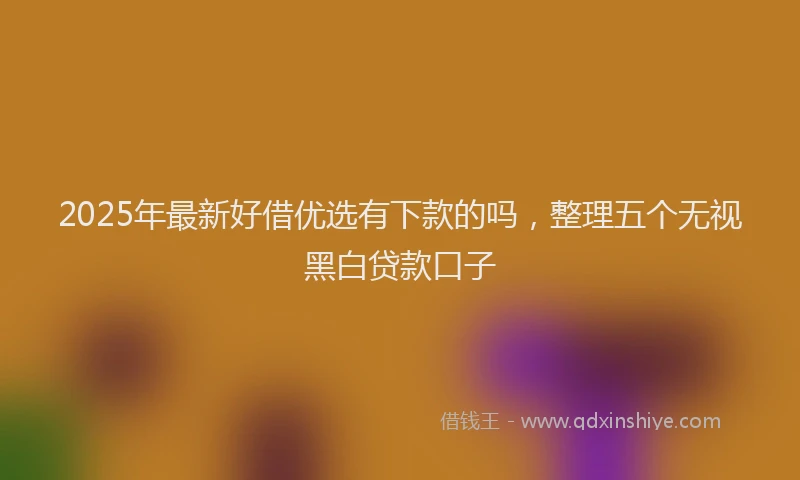 2025年最新好借优选有下款的吗，整理五个无视黑白贷款口子