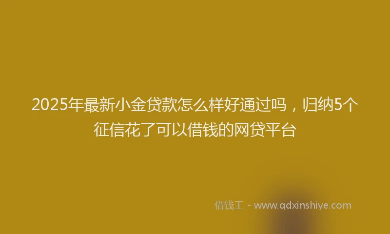 2025年最新小金贷款怎么样好通过吗，归纳5个征信花了可以借钱的网贷平台