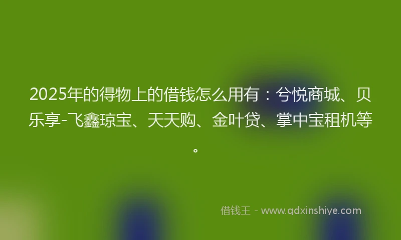 2025年的得物上的借钱怎么用有：兮悦商城、贝乐享-飞鑫琼宝、天天购、金叶贷、掌中宝租机等。