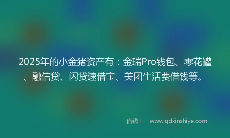 2025年的小金猪资产有：金瑞Pro钱包、零花罐、融信贷、闪贷速借宝、美团生活费借钱等。