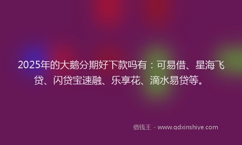 2025年的大鹅分期好下款吗有：可易借、星海飞贷、闪贷宝速融、乐享花、滴水易贷等。