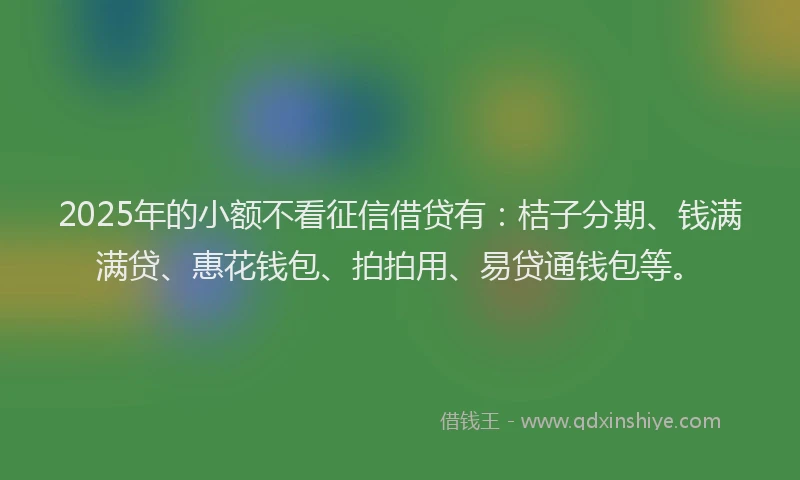 2025年的小额不看征信借贷有：桔子分期、钱满满贷、惠花钱包、拍拍用、易贷通钱包等。