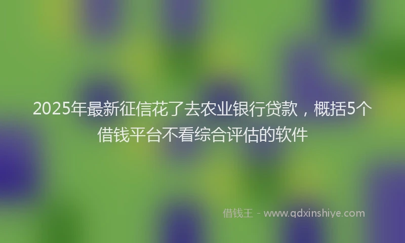 2025年最新征信花了去农业银行贷款，概括5个借钱平台不看综合评估的软件