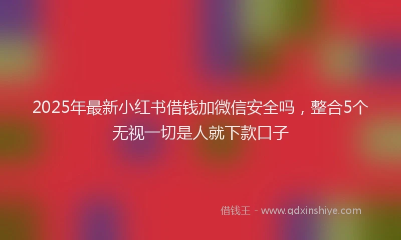 2025年最新小红书借钱加微信安全吗，整合5个无视一切是人就下款口子