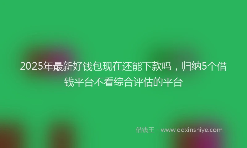 2025年最新好钱包现在还能下款吗，归纳5个借钱平台不看综合评估的平台