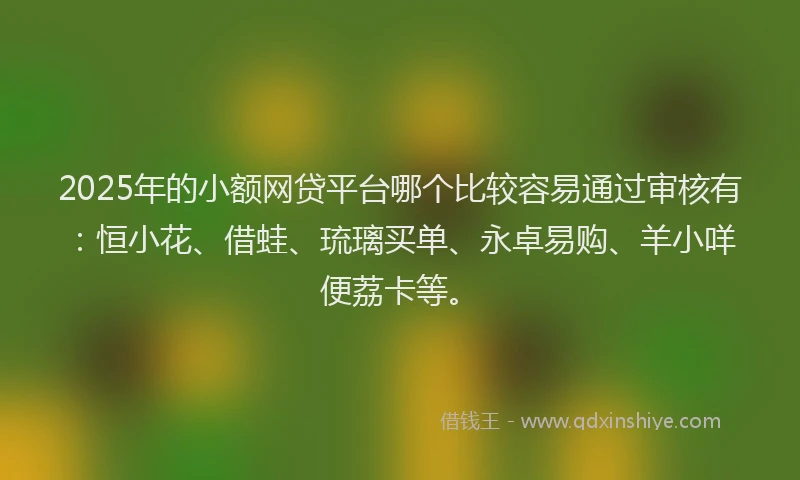2025年的小额网贷平台哪个比较容易通过审核有：恒小花、借蛙、琉璃买单、永卓易购、羊小咩便荔卡等。