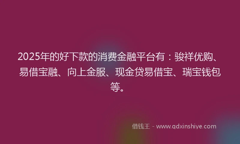 2025年的好下款的消费金融平台有：骏祥优购、易借宝融、向上金服、现金贷易借宝、瑞宝钱包等。