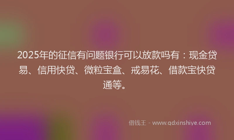 2025年的征信有问题银行可以放款吗有：现金贷易、信用快贷、微粒宝盒、戒易花、借款宝快贷通等。